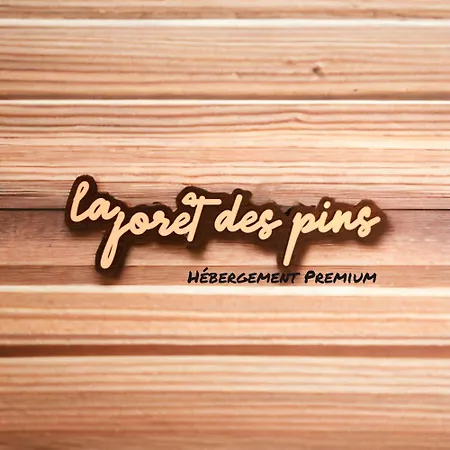 La Foret Des Pins - Free Check-in - Wifi - Parking Prive - Netflix - Draps & Serviettes Inclus Daire *
