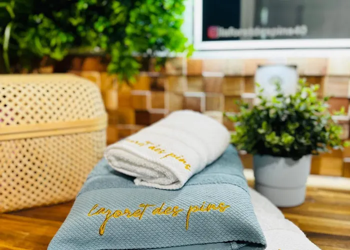 La Forêt Des Pins - Free Check-in - Wifi - Parking Privé - Netflix - Draps&serviettes Inclus Apartamento Labenne