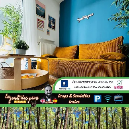 Apartment La Foret Des Pins - Free Check-in - Wifi - Parking Prive - Netflix - Draps & Serviettes Inclus *