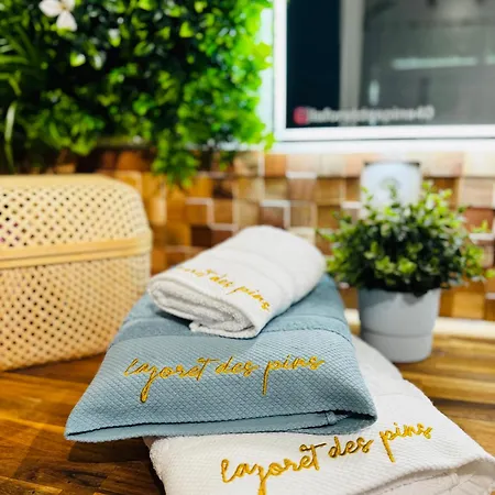 La Foret Des Pins - Free Check-in - Wifi - Parking Prive - Netflix - Draps & Serviettes Inclus Apartman Labenne