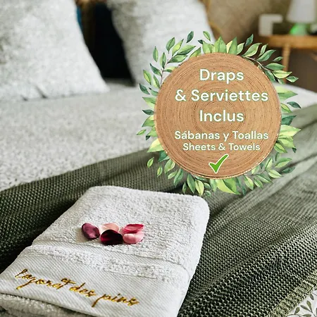 La Foret Des Pins - Free Check-in - Wifi - Parking Prive - Netflix - Draps & Serviettes Inclus