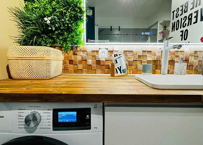 La Foret Des Pins - Free Check-in - Wifi - Parking Prive - Netflix - Draps & Serviettes Inclus דירה *