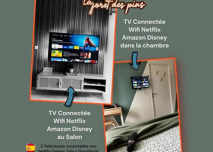 La Foret Des Pins - Free Check-in - Wifi - Parking Prive - Netflix - Draps & Serviettes Inclus דירה לבן